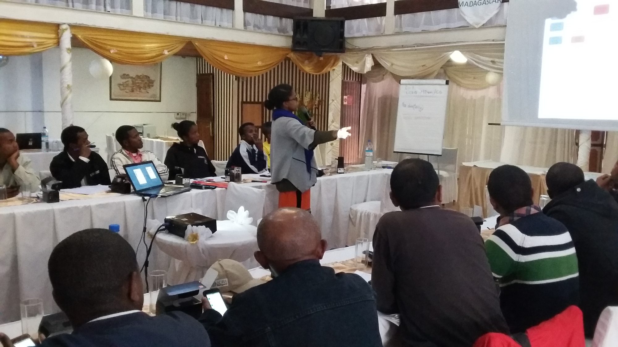 Facilitator leading a program planning workshop in Madagascar, with participants seated around tables and a projector screen