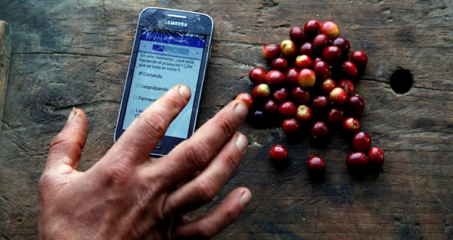 TechnoServe coffee agronomy training infographic