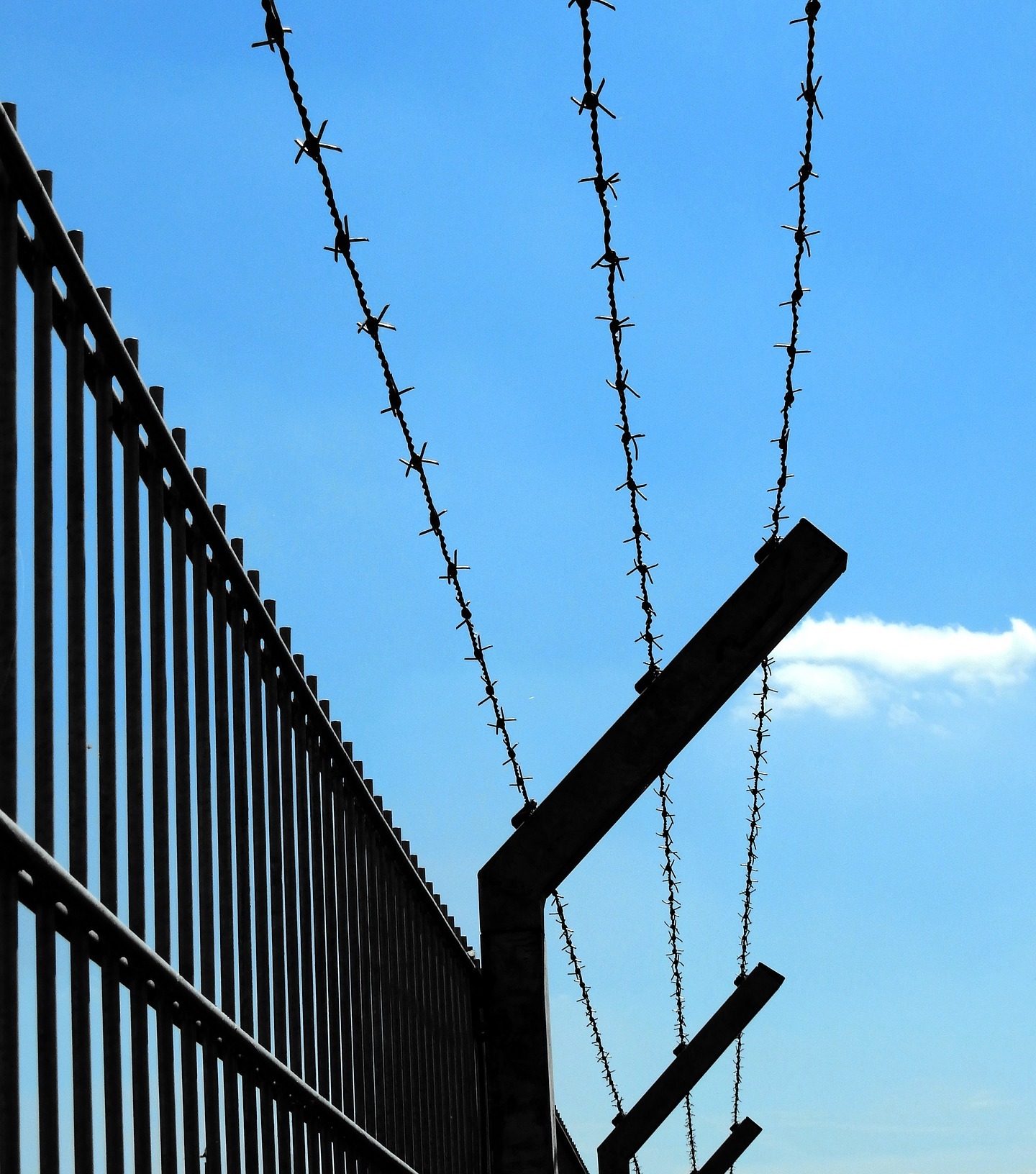 Prison fence