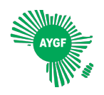 Africa Youth Growth Foundation logo