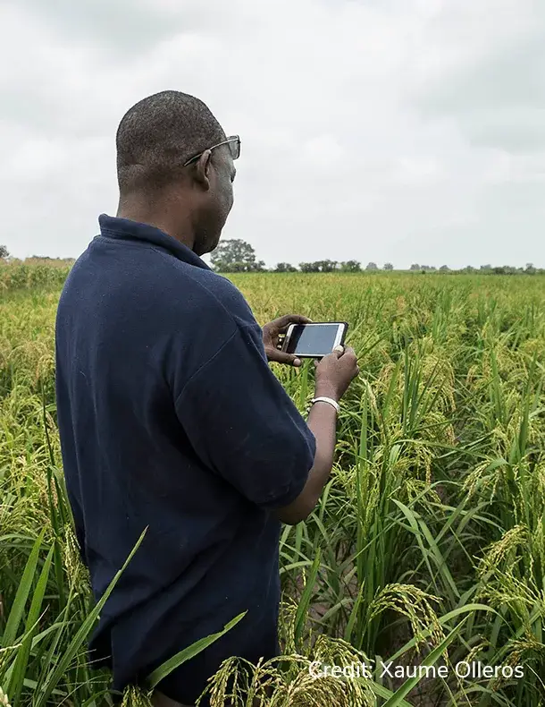 Naatal Mbay smallholder farmers in Senegal