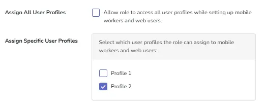 Screenshot: Granular Permissions: Control Which Profiles Can Be Assigned