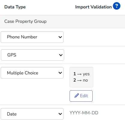 Screenshot: Data Dictionary: Enforce Data Types on Import