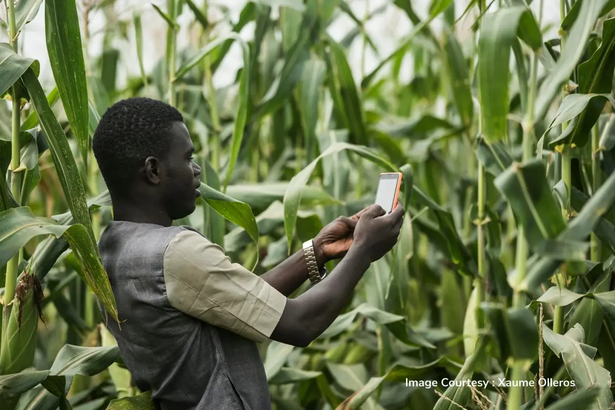A social enterprise field worker collecting data with CommCare
