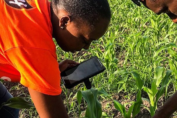 SMASH Mobil agronomists rebuilding a local agricultural supply chain in Haiti