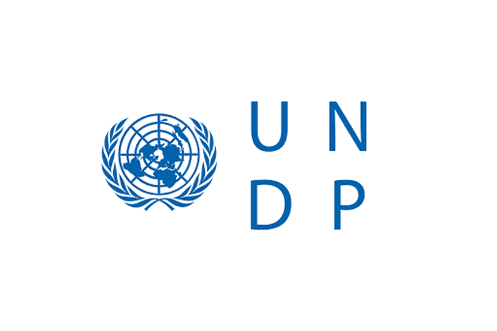 UNDP logo