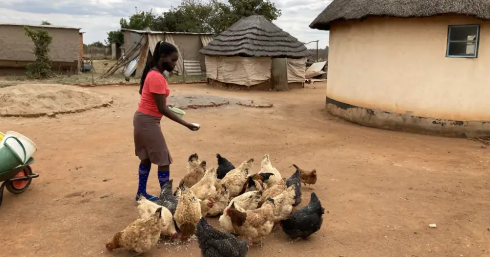 World Poultry Foundation agricultural extension agents collecting data with CommCare